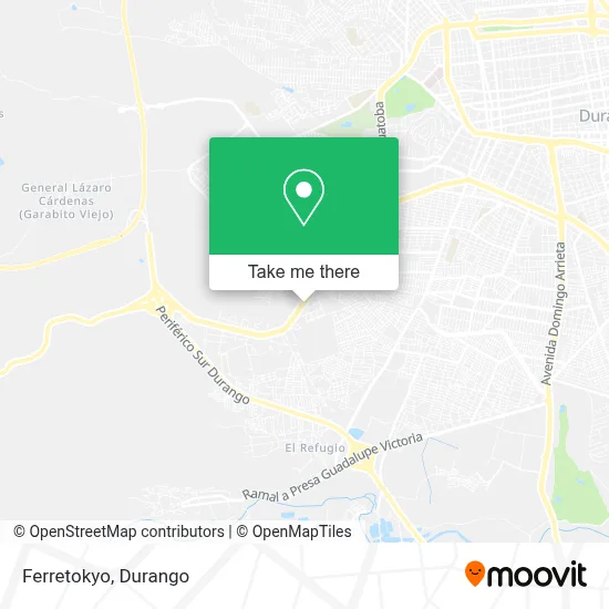 Ferretokyo map