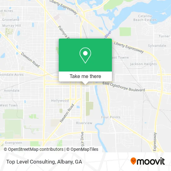 Top Level Consulting map