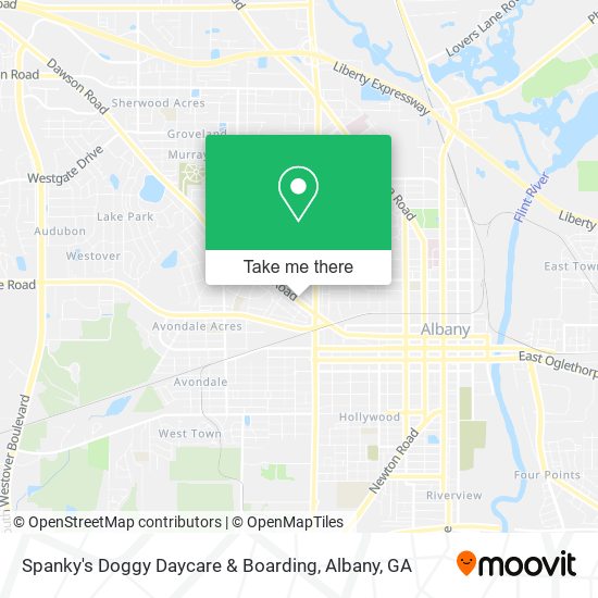 Spanky's Doggy Daycare & Boarding map