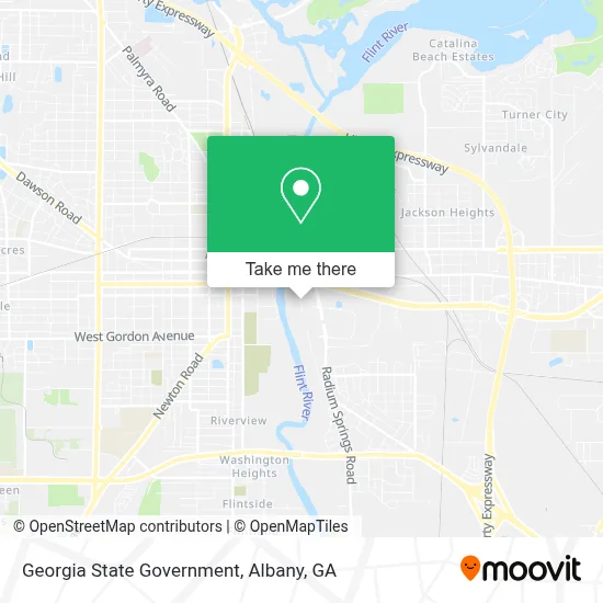 Georgia State Government map
