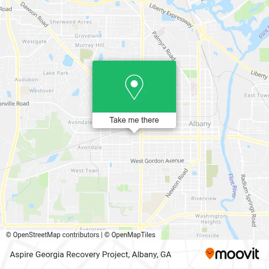 Aspire Georgia Recovery Project map