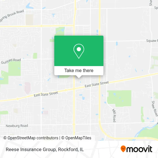 Reese Insurance Group map