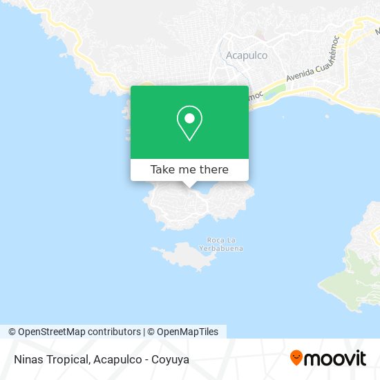 Ninas Tropical map