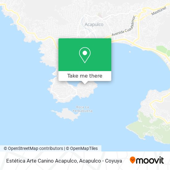 Mapa de Estética Arte Canino Acapulco