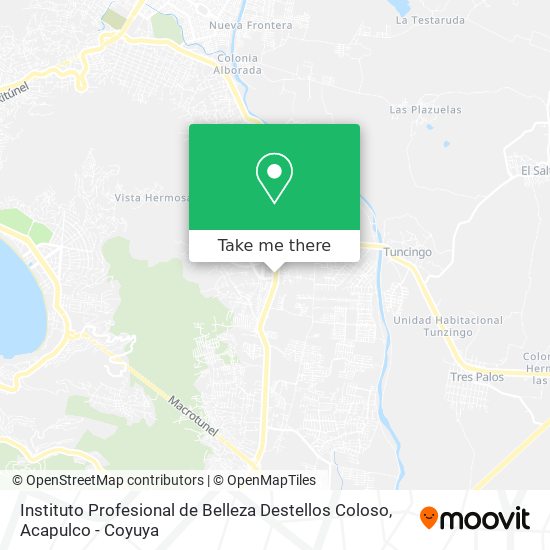 Instituto Profesional de Belleza Destellos Coloso map