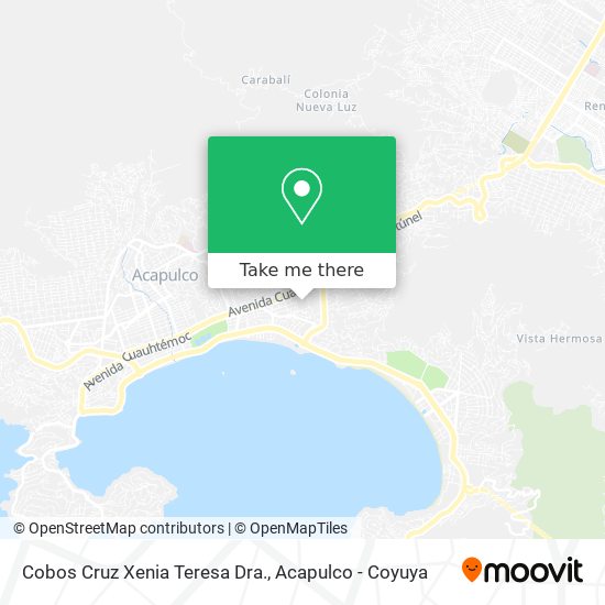 Cobos Cruz Xenia Teresa Dra. map