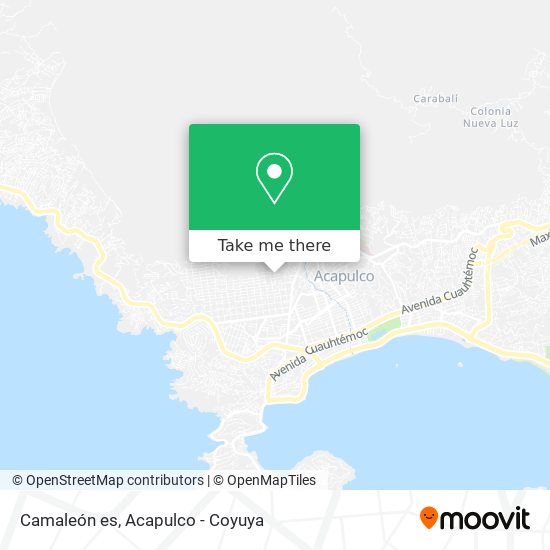 Camaleón es map