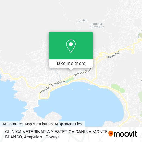 Mapa de CLINICA VETERINARIA Y ESTETICA CANINA MONTE BLANCO