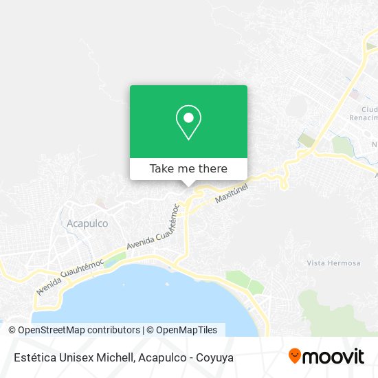 Estética Unisex Michell map