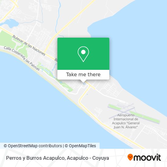 How to get to Perros y Burros Acapulco in Acapulco De Juárez by Bus?