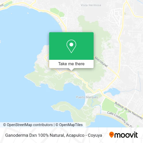 Ganoderma Dxn 100% Natural map