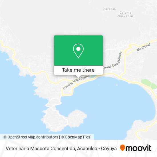 Veterinaria Mascota Consentida map