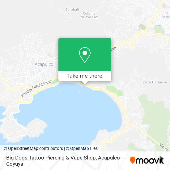 Mapa de Big Dogs Tattoo Piercing & Vape Shop