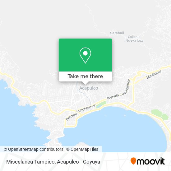 Miscelanea Tampico map