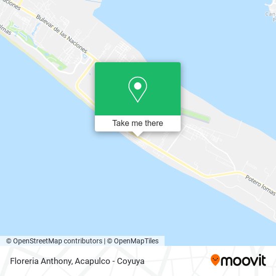 Floreria Anthony map