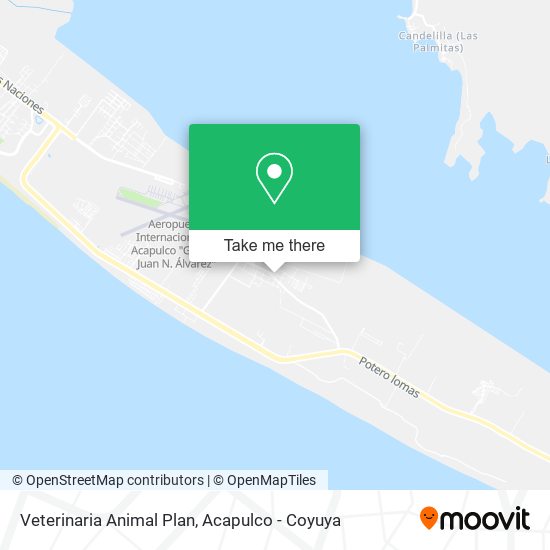 Mapa de Veterinaria Animal Plan