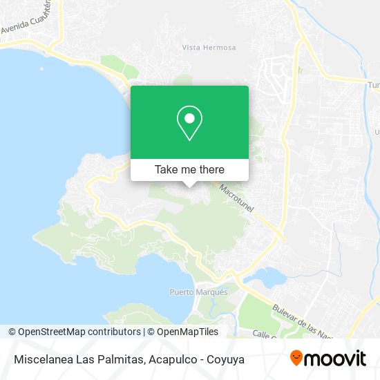 Miscelanea Las Palmitas map