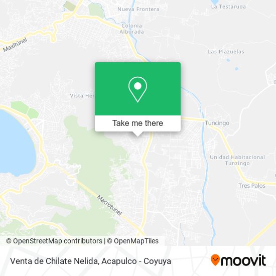 Venta de Chilate Nelida map