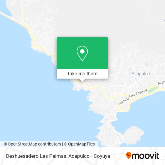 Mapa de Deshuesadero Las Palmas