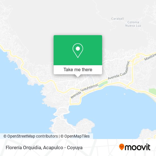 Florería Orquidia map