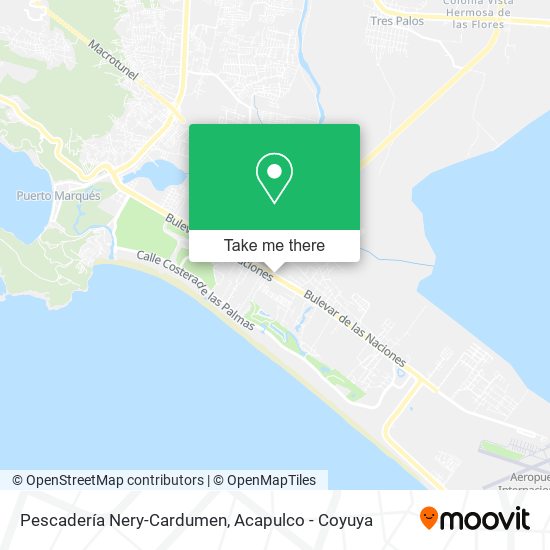 Mapa de Pescadería Nery-Cardumen