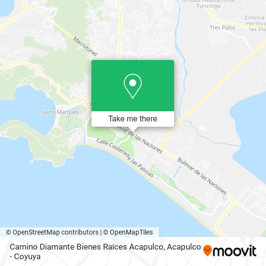 Camino Diamante Bienes Raíces Acapulco map