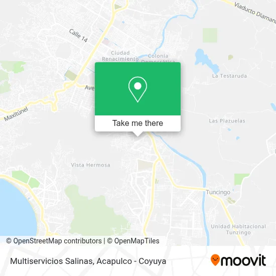 Multiservicios Salinas map