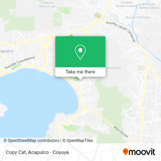 Copy Cat map