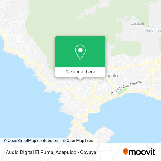 Audio Digital El Puma map