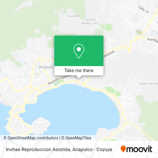 Invitae Reproduccion Asistida map