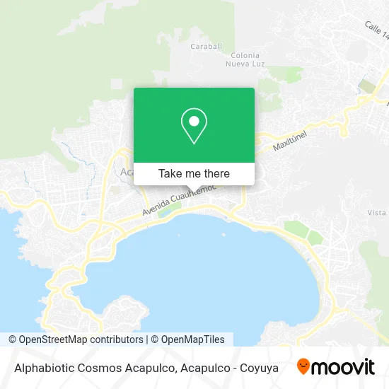 Alphabiotic Cosmos Acapulco map