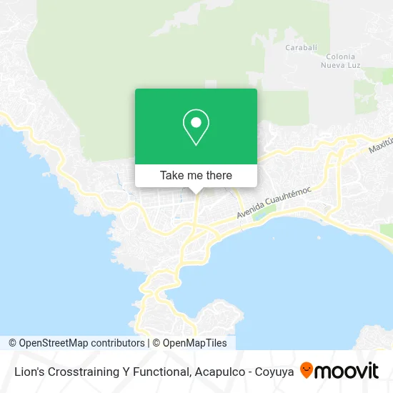 Lion's Crosstraining Y Functional map