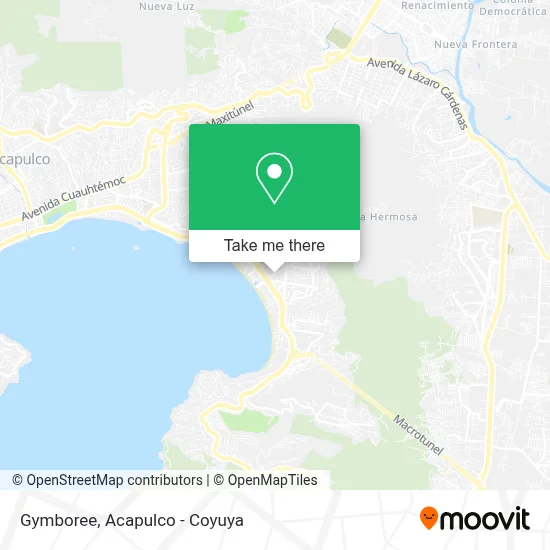 Gymboree map