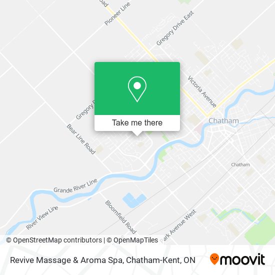 Revive Massage & Aroma Spa plan
