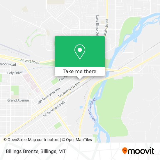 Billings Bronze map