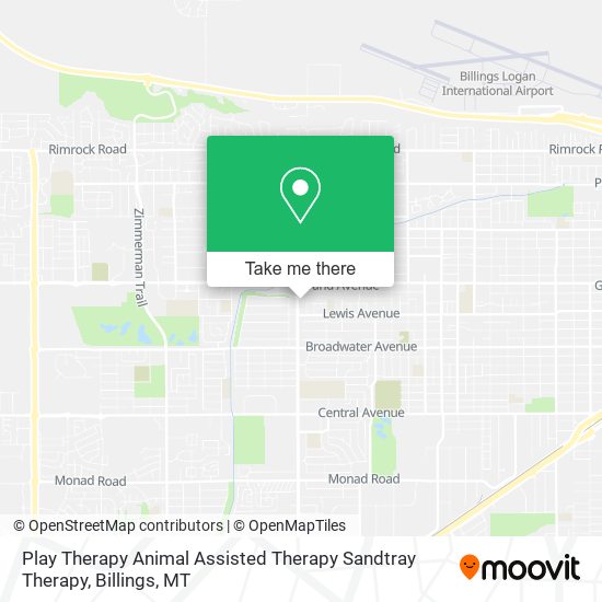 Play Therapy Animal Assisted Therapy Sandtray Therapy map