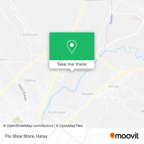Flo Shoe Store map