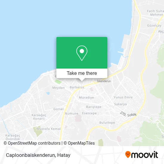Caploonbaiskenderun map