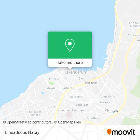 Lineadecor map
