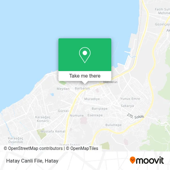 Hatay Canli File map
