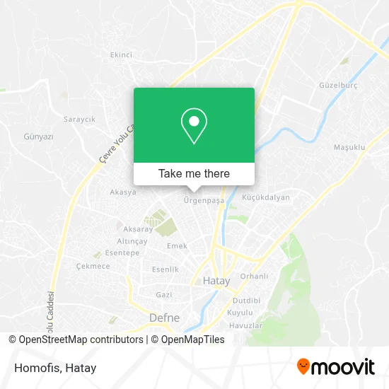 Homofis map