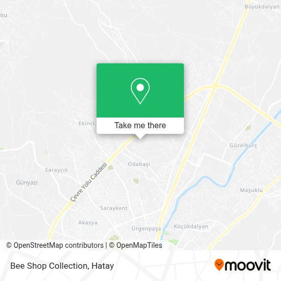 Bee Shop Collection map