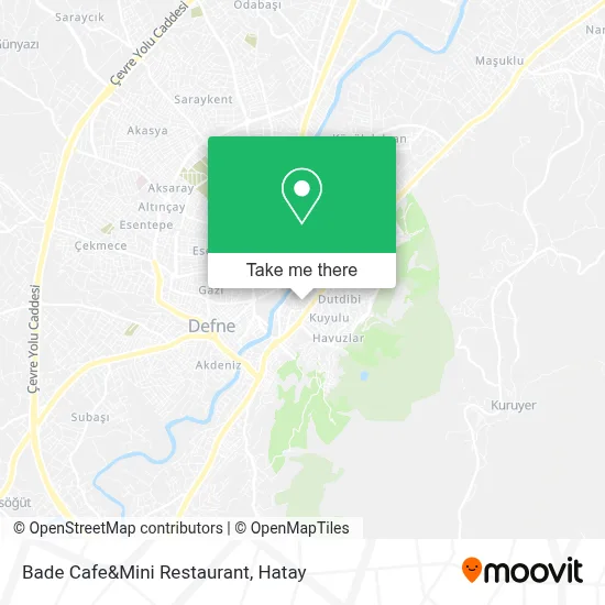 Bade Cafe&Mini Restaurant map