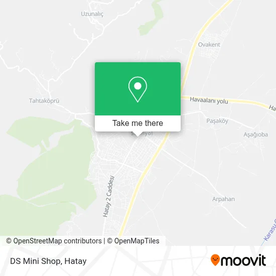 DS Mini Shop map