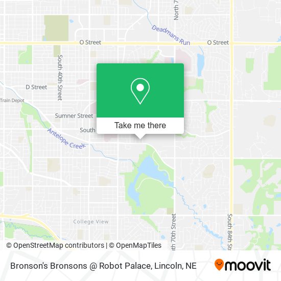 Bronson's Bronsons @ Robot Palace map