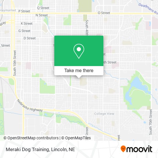 Meraki Dog Training map