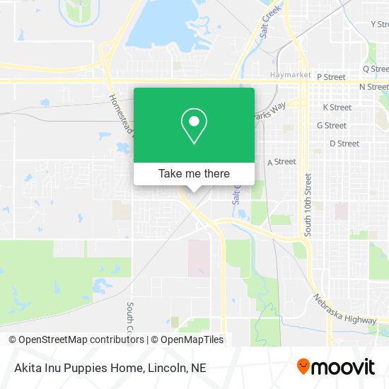 Akita Inu Puppies Home map