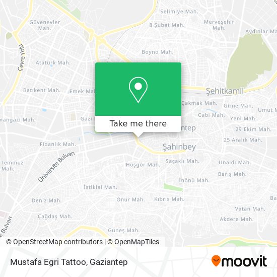 Mustafa Egri Tattoo map