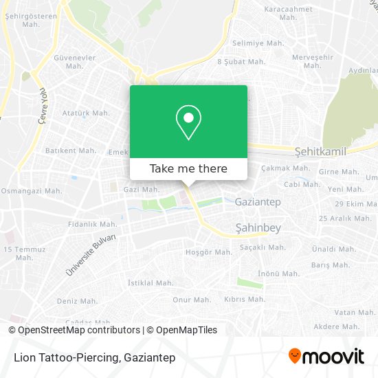 Lion Tattoo-Piercing map