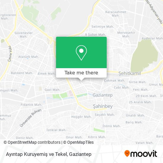 Ayıntap Kuruyemiş ve Tekel map